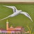 Romano Vitali, Landscape, 2000s, Painting, Framed For Sale - Image 3 of 5