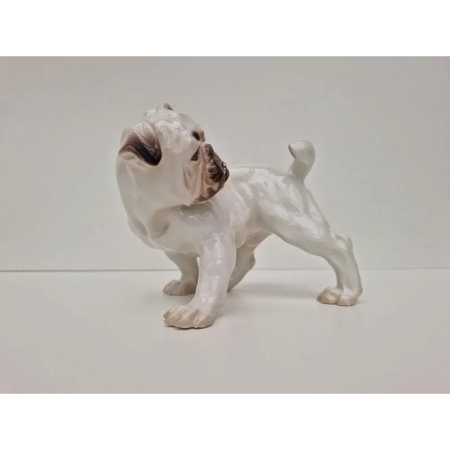 Bing & Grondahl English Bulldog in perfect condition. This piece has an attribution mark, I am sure that it is completely...