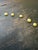 Black Vintage 22” Black Cerused Wood Low Table With Brass Accents For Sale - Image 8 of 16