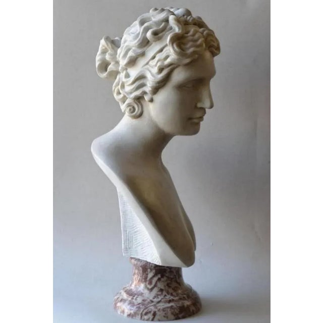 Italian sculpture " Venere Medici" Head Begin 20th century Marble Measure: H: 41cm including the base Perfect condition....