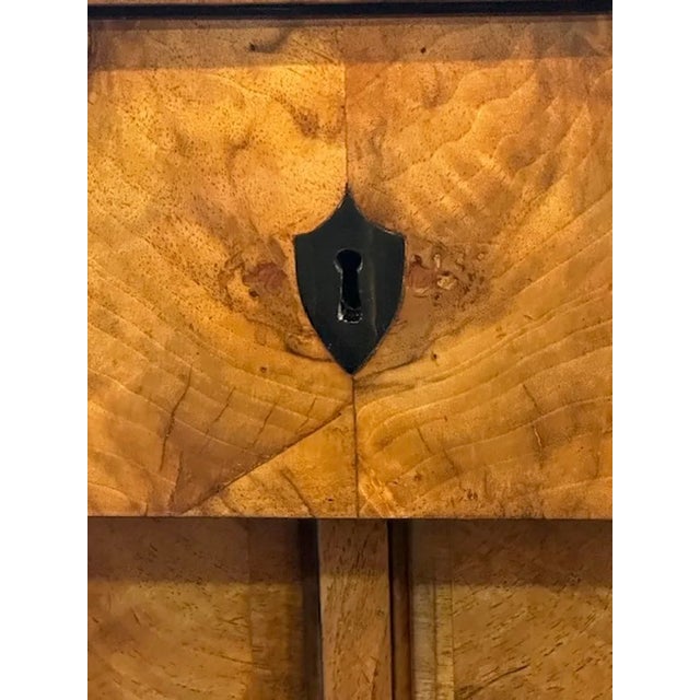 19th Century German Biedermeier Cabinet For Sale In Dallas - Image 6 of 11