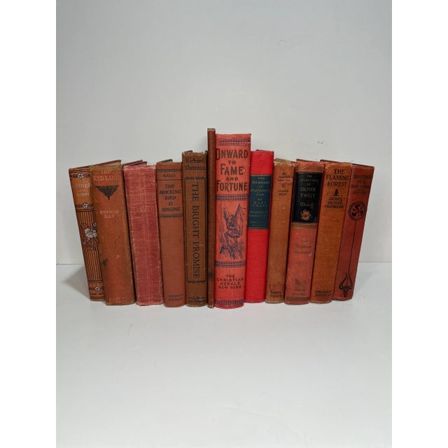 Shades of Red Vintage Book Set - 12 Pieces For Sale - Image 4 of 4