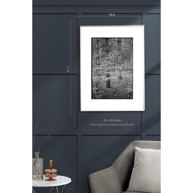 Contemporary Paul Cooklin, Scan 20211222 88, Edition of 50 For Sale - Image 3 of 5