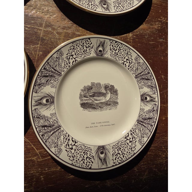 Six Bewick Bird Plates by Prinknash Abbey Pottery For Sale In San Antonio - Image 6 of 12