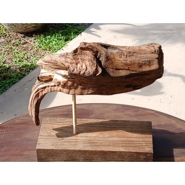 Beautiful abstract fish or whale driftwood on stand. Great coastal decor