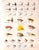 Paper Abercrombie & Fitch New Directions 1966 Catalog For Sale - Image 7 of 18