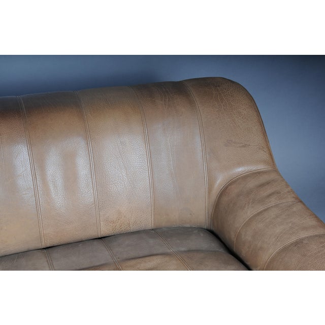 DS44 3-Seater Sofa in Buffalo Leatherfrom de Sede, 1970s For Sale - Image 9 of 18