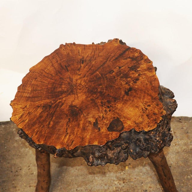 Sculptural Burr Walnut Side Tables, 1950s, Set of 2 For Sale - Image 6 of 11