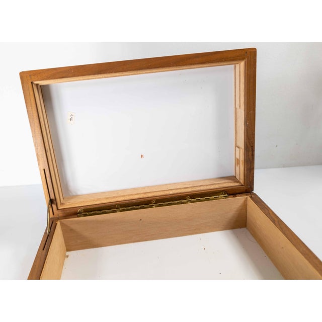 Mid-Century French or American Walnut and Zebra Humidor Box For Sale - Image 14 of 17