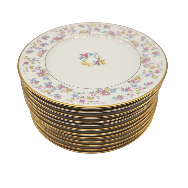 Mid 20th Century Lamberton Reverie Floral Salad Plates, Set of Twelve For Sale - Image 5 of 11