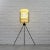 Texopla Floor Lamp from Trema Industri, 1950s For Sale - Image 4 of 13