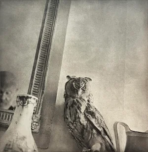 Jim Dine "Self in the Mirror, 2000" Heliogravure Print