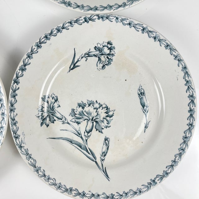 Earthenware Oeillet Dinner Plates from KG Lunéville, 19th Century, Set of 6 For Sale - Image 11 of 14