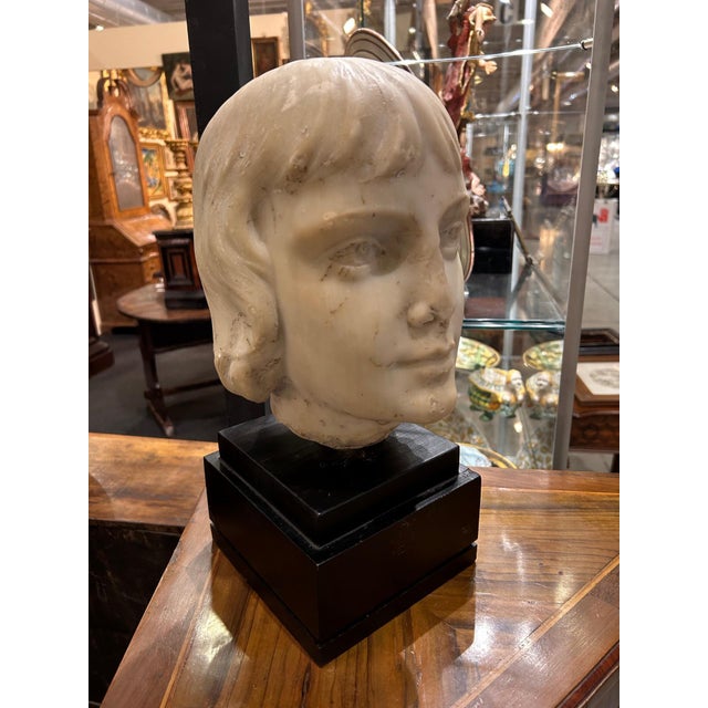 Stone Head of Young Man in White Carrara Marble, Italy, 17th Century For Sale - Image 7 of 7