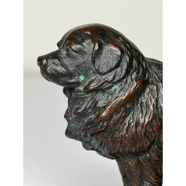 Brown Scottish Art Deco Bronze Newfoundland Dog With Historic Inscription For Sale - Image 8 of 12
