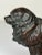 Brown Scottish Art Deco Bronze Newfoundland Dog With Historic Inscription For Sale - Image 8 of 12