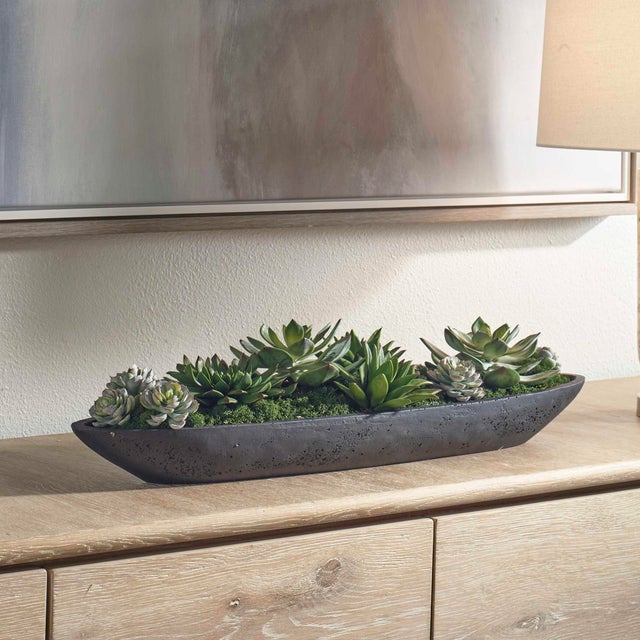 Contemporary Verde Succulent Centerpiece In Bowl For Sale - Image 3 of 8