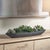 Contemporary Verde Succulent Centerpiece In Bowl For Sale - Image 3 of 8