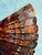 Chestnut Vintage Petite Tortoise Shell Fan For Sale - Image 8 of 11