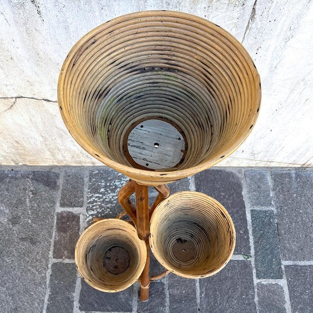 Bamboo and Rattan Plant Pot, Italy, 1950s For Sale - Image 12 of 16