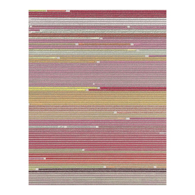 AV_Tulip_Fileds_006" Size a Contemporary Limited Edition Fine Art Print by Bernhard Lang For Sale