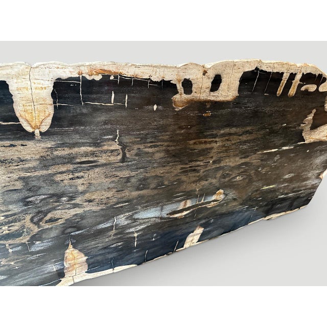 Andrianna Shamaris Live Edge Single Slab HighQuality Petrified Wood Dining Table For Sale - Image 18 of 18