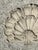 Vintage Concrete Shell Wall Plaque For Sale - Image 10 of 17