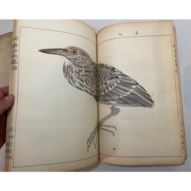 1914 Antique Japanese Eisho Hyakucho Gafu Tsuchida Eisho Birds Woodblock Prints For Sale - Image 14 of 18