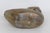 Solid Brass Swan Figurine Mid Century Modern Style Small Decorative Bird 5093b For Sale - Image 11 of 11