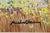Wood French Impressionist Landscape Painting by Michael Henry (1928-2016) For Sale - Image 7 of 11