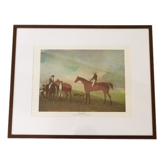 Benjamin Marshall, Bay Horse Phantom, Late 20th Century, Print, Framed For Sale