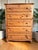 Wood Vintage Pine Tallboy Chest of 5 Drawers, 1980s For Sale - Image 7 of 16
