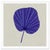 Contemporary Condado Fan and Agua Dalla Fan by Susan Hable For Sale - Image 3 of 4