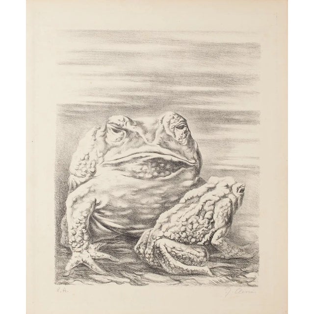 Fabrizio Clerici - The Frogs - Lithograph - 1940 Ca For Sale
