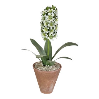 Tommy Mitchell Hyacinth Flower Sculpture in Terracotta Pot For Sale
