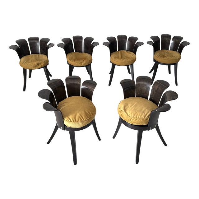 Fiore Chairs by Miro Harold, 1980s, Set of 6 For Sale