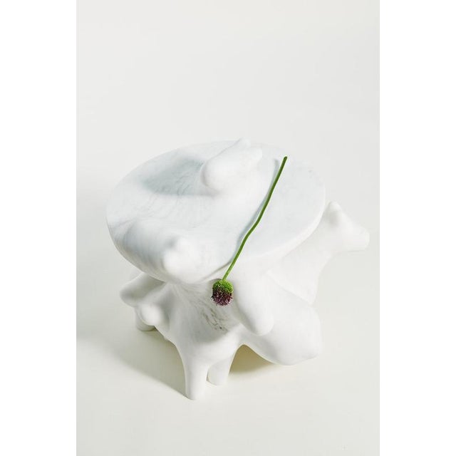 Project Materia 2025 Morph Horsies Marble Sculptural Object by Project Materia For Sale - Image 4 of 11