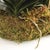 Traditional Phalaenopsis Orchid Bowl Drop-In 35" For Sale - Image 3 of 6