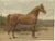 Otto Eerelman, Dutch Gelderland Horse, 1898, Chromolithograph For Sale - Image 9 of 9