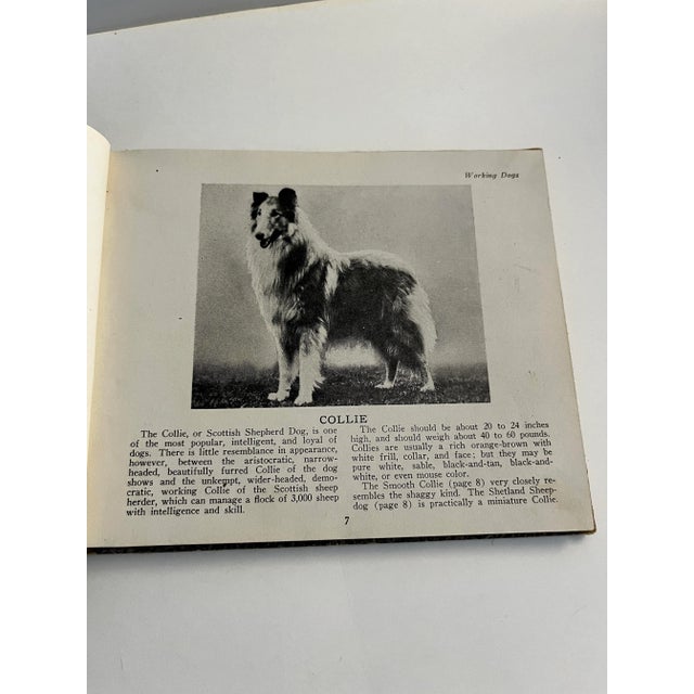 1934 the Book of Dogs For Sale - Image 4 of 12