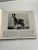 1934 the Book of Dogs For Sale - Image 4 of 12