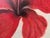 Modern Oil Painting - Fleur Rouge For Sale In New York - Image 6 of 8