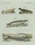 Bertuch, Four Seals, 1800, Engraving For Sale - Image 3 of 10