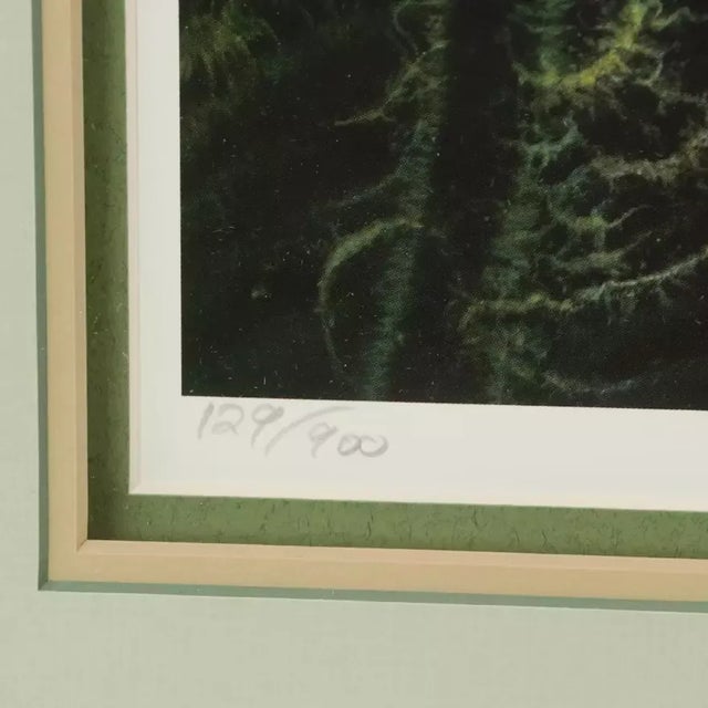 Printmaking Materials 1980s Vintage Fishing Wall Art "Fooled Again," by Jon Wright Framed For Sale - Image 7 of 9