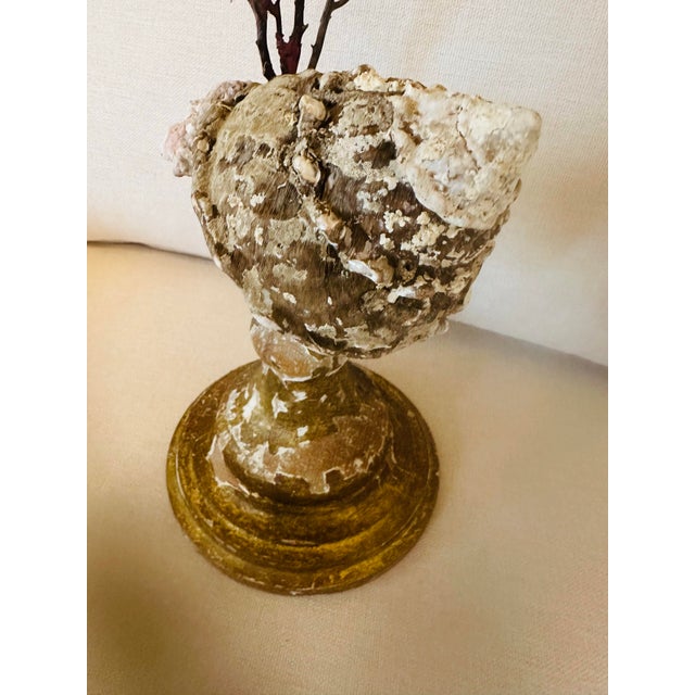 Sea Fan Shell Art on Italian Gold Gilt Base For Sale In Charleston - Image 6 of 10