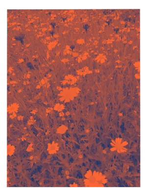 Ian Jones, Fruhlingsweise, Digital Print