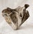 Experience the exquisite artistry of the Flourish Series ofVases at The Shine Studios, where each piece will be Varying...