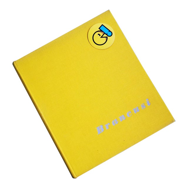 1957 Constantin Brancusi Art Album Catalog Book Hardcover Vintage David Lewis 50s For Sale