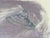 Mark Lere (American B. 1950), Signed Lithograph Entitled “Gullet” 1986 For Sale - Image 12 of 16