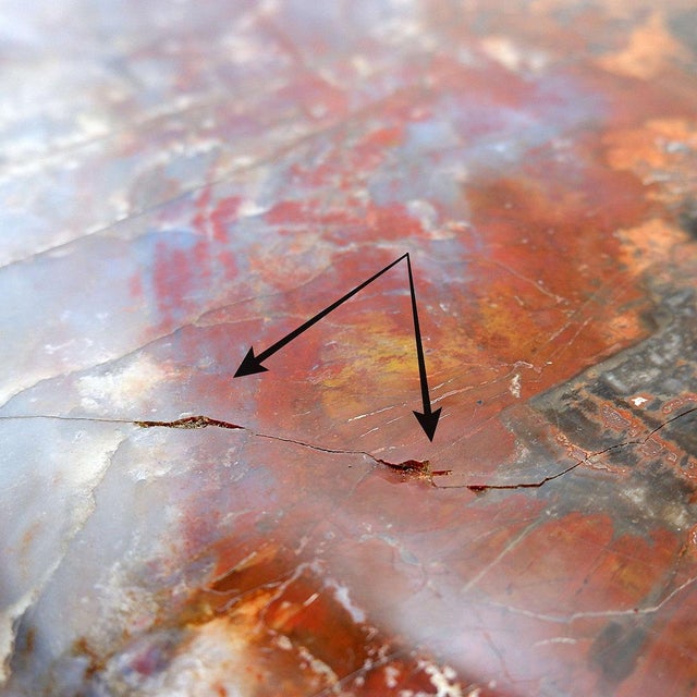 Red Arizona Petrified Wood Coffee Table For Sale - Image 10 of 16